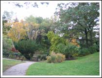 Garden Path: 1/50 sec., F2.8, and ISO 50 (File size: 2.7 MB)
