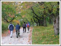 Going Home: 1/60 sec., F4.0, and ISO 50 (File size: 2.6 MB)