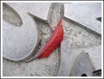 Red Leaf: 1/200 sec., F2.8, +1/3EV, Macro ON,  and ISO 50 (File size: 2.3 MB)