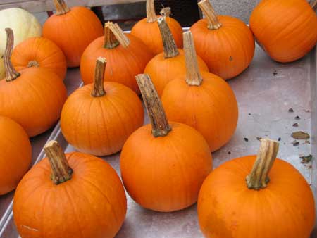 Baby Pumpkins: 1/250 sec., F3.2 and ISO 50