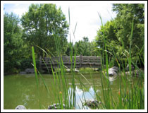 Bridge through bulrushes: 1/800 sec., F2.8 and ISO 50 (File size: 2.8 MB)