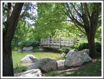 Bridge framed by trees: 1/250 sec., F2.8 and ISO 50 (File size: 3.5 MB)