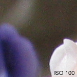 ISO 100