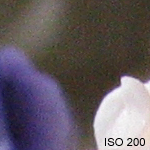 ISO 200