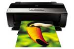 Epson Stylus Photo R1900