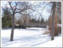 Bridge: 1/500 sec., F4 and ISO 80 (File size: 1.2 MB)