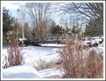 Tall Grass: 1/500 sec., F4 and ISO 80 (File size: 1.6 MB)