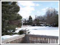 Wide-Angle: 1/500 sec., F4 and ISO 80 (File size: 922 KB)