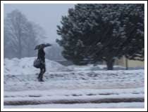 Freezing Rain: 1/10 sec., F3.2 and ISO 80 (File size: 541 KB)