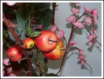 Apples: 1/60 sec., F3.2 and ISO 80, with Flash (File size: 741 KB)