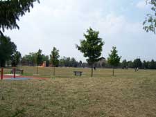 Wide-angle 36mm
