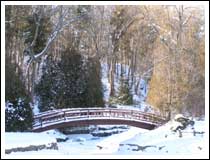 Bridge: 1/100 sec., F4.5, +0.3EV and ISO 50 (File size: 1.3 MB)