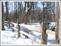 Fence: 1/125 sec., F5.6, +0.3EV and ISO 50 (File size: 1.3 MB)