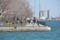 Nikon D300 Photo Gallery