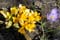 Nikon D300 Photo Gallery