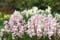 Nikon D300 Photo Gallery