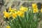 Nikon D300 Photo Gallery