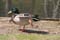 Nikon D300 Photo Gallery