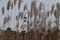 Nikon D300s Photo Gallery
