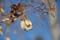 Nikon D300s Photo Gallery