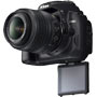 DSLRs with Live View & HD Movie