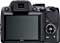 Nikon P100