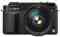 Panasonic L1