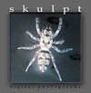 Skulpt Digital Photography