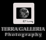 Terra Galleria Photography