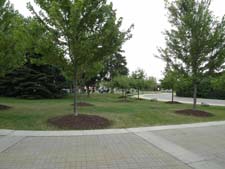 Wide-angle 24 mm