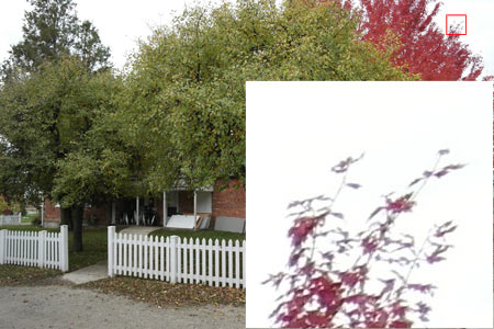 CA (Purple Fringing)