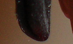 ISO 200