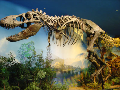 ROM T-Rex: 1 sec., F2.8 and ISO 250