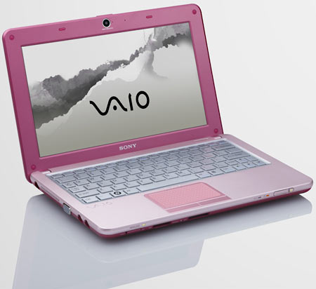 Sony VAIO W Mini Notebook