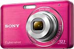 Sony W310