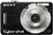 Sony W55