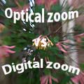 Optical vs. Digital Zoom — Which Is Better?