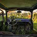 The View From The Back Seat Of An Abandoned Car