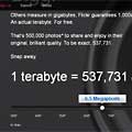 Flickr Offers 1 Terabyte of Free Photo Storage