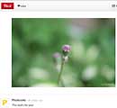 Photoxels on Pinterest