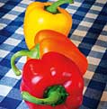 Still Life Photography Depth of Field Tutorial @ DigitalCameraWorld