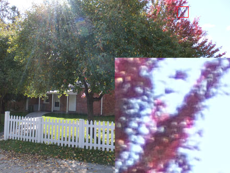 CA (Purple Fringing)