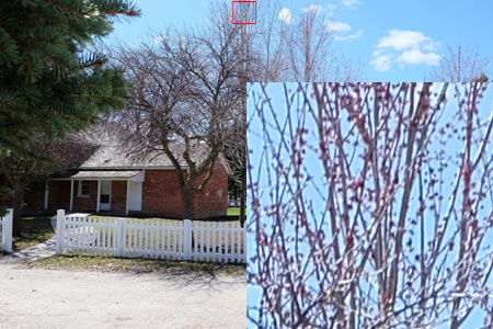 CA (Purple Fringing)