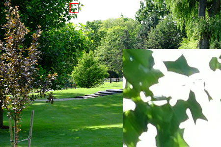 CA (Purple Fringing)