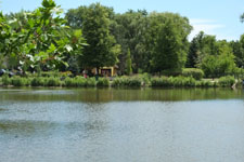 FUJINON XF55-200mmF3.5-4.8 R LM OIS at 55mm [84mm equiv.]