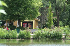 FUJINON XF55-200mmF3.5-4.8 R LM OIS at 200mm [305mm equiv.]