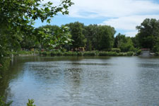 FUJINON LENS XF35mmF1.4 R [53mm equiv.]