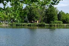 FUJINON XF18-55mmF2.8-4 R LM OIS at 55mm [84mm equiv.]