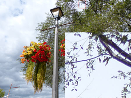 CA (Purple Fringing)