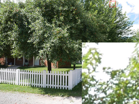 CA (Purple Fringing)